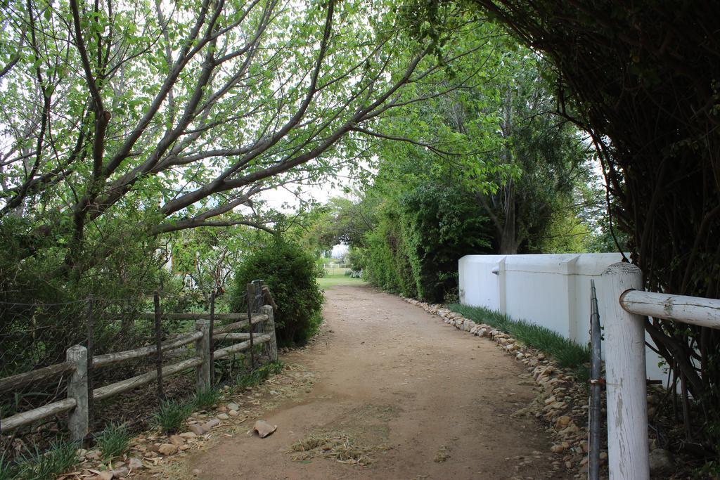 Acacia Cottage Prince Albert Dış mekan fotoğraf