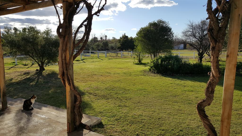 Acacia Cottage Prince Albert Dış mekan fotoğraf